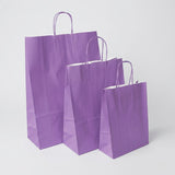 Purple Twist Handle Paper Carrier Bag - Plain | Print On Paper Bags