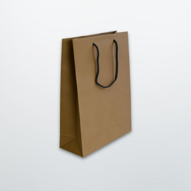 Brown Luxury Rope Handle Paper Bag - Plain – Print on Paper Bags
