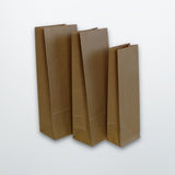 Brown Paper Block Bottom Pharmacy Bags - Print on Paper Bags