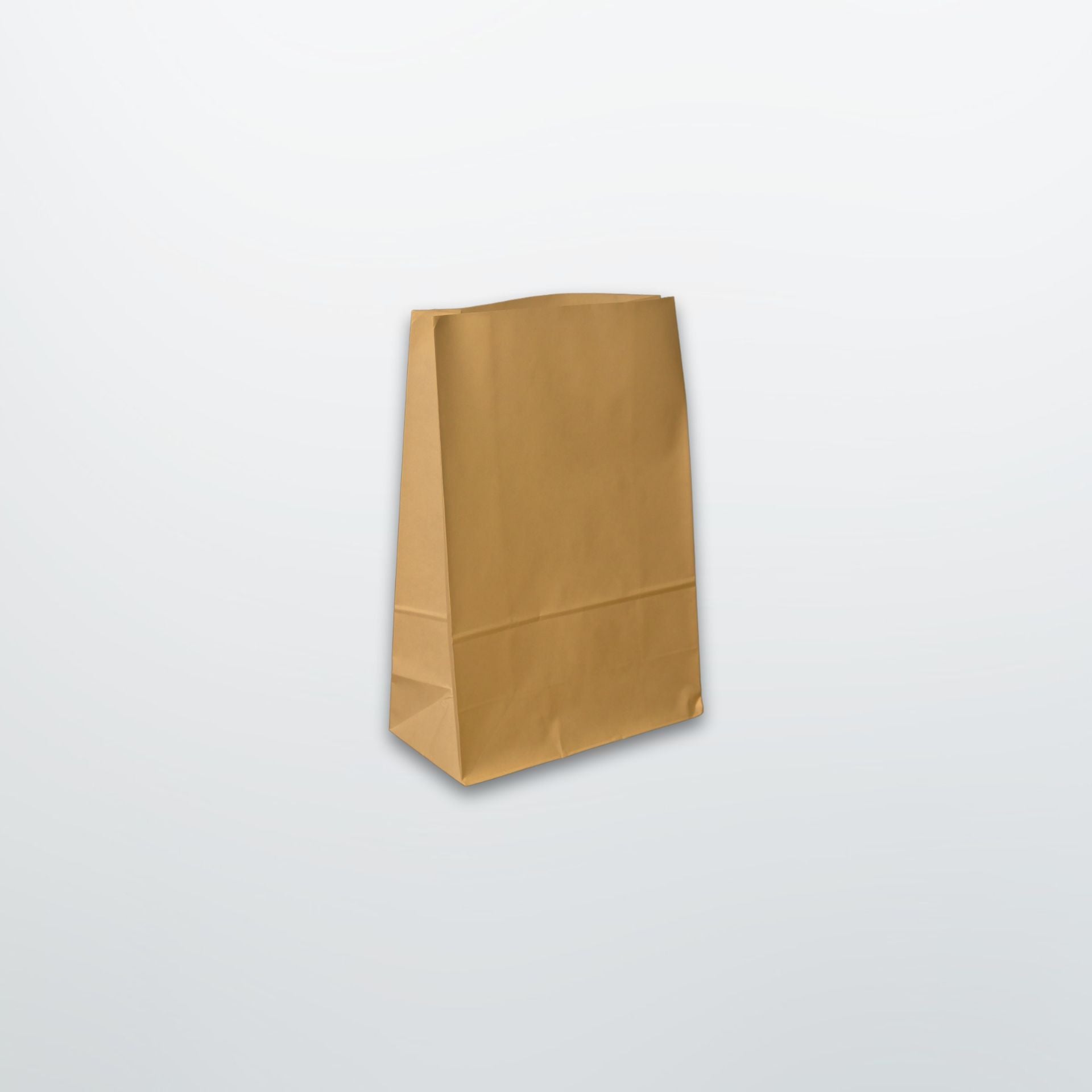 Brown Paper Grab Bags - Plain - Print on Paper Bags